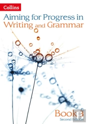 Progress In Writing And Grammar