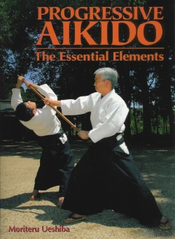 Bertrand.pt - Progressive Aikido