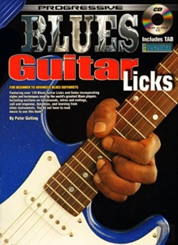 Bertrand.pt - Progressive Blues Guitar Licks