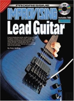 Bertrand.pt - Progressive Improvising Lead Guitar