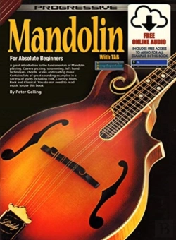 Bertrand.pt - Progressive Mandolin