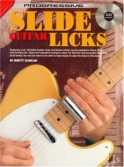 Bertrand.pt - Progressive Slide Guitar Licks