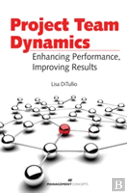 Bertrand.pt - Project Team Dynamics