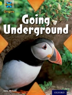 Bertrand.pt - Project X Origins: Lime Book Band, Oxford Level 11: Underground: Going Underground