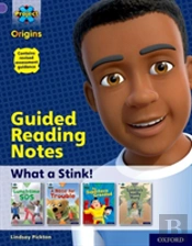 Project X Origins: Purple Book Band, Oxford Level 8: What A Stink!: Guided Reading Notes