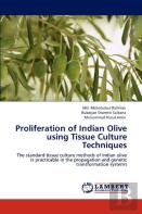 Proliferation Of Indian Olive Using Tissue Culture Techniques