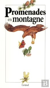 Promenades En Montagne