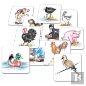 Promenons Notre Oreille Jeu 60 Cartes