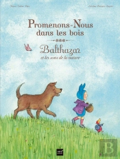 Promenons-Nous Avec Balthazar ; Yéti Y Es-Tu ?