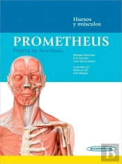 Prometheus:Poster Anatomia.Huesos-Musc.