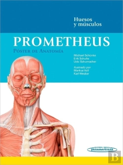 Bertrand.pt - Prometheus:Poster Anatomia.Huesos-Musc.