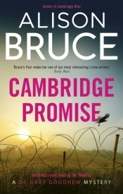 Promise