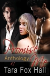Promise Me Anthology #1