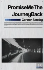 Promise Me The Journey Back