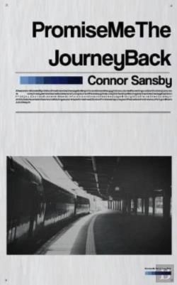 Bertrand.pt - Promise Me The Journey Back