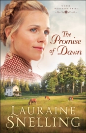Promise Of Dawn (Under Northern Skies Book #1)