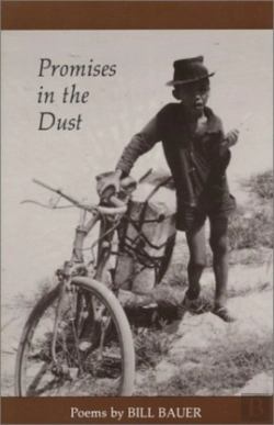 Bertrand.pt - Promises In The Dust