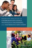 Promising Practices In Undergraduate Science, Technology, Engineering, And Mathematics Education