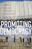 Promoting Democracy