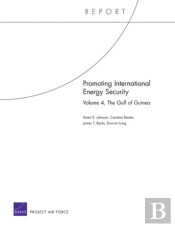Promoting International Energy Security