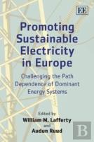 Promoting Sustainable Electricity In Europe