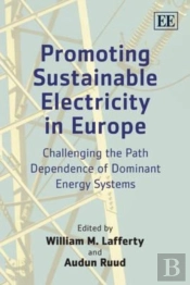 Promoting Sustainable Electricity In Europe