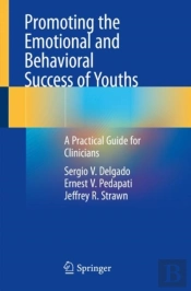 Promoting The Emotional And Behavioral Success Of Youths