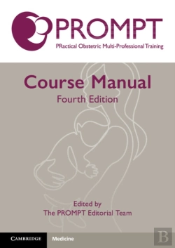 Bertrand.pt - Prompt Course Manual