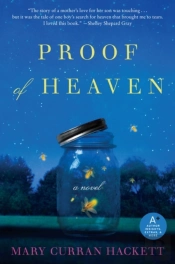 Proof Of Heaven
