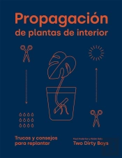 Propagacion De Plantas De Interior