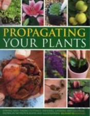 Propagating Your Plants