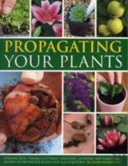 Bertrand.pt - Propagating Your Plants