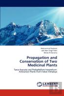 Propagation And Conservation Of Two Medicinal Plants