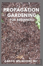 Propagation Gardening For Beginners