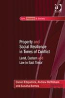 Property And Social Resilience In Times Of Conflict