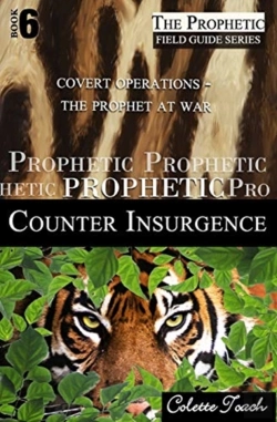 Bertrand.pt - Prophetic Counter Insurgence