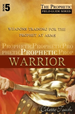 Bertrand.pt - Prophetic Warrior