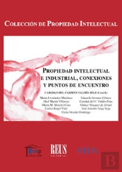 Propiedad Intelectual E Industrial, Conexiones Y Puntos De Encuentro