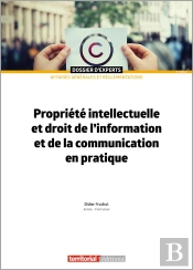 Propriété Intellectuelle Et Droit De L'Information Et De La Communication En Pratique