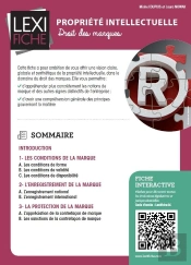 Propriete Intellectuelle