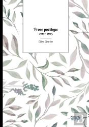 Prose Poétique : 2019 - 2025