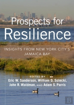 Bertrand.pt - Prospects For Resilience