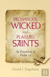 Prosperous Wicked And Plagued Saints