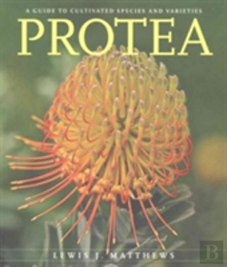 Bertrand.pt - Protea