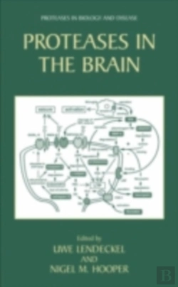 Bertrand.pt - Proteases In The Brain
