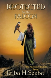 Protected By The Falcon
