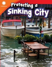 Protecting A Sinking City