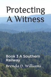 Protecting A Witness: Book 3 A Southern