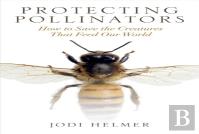 Protecting Pollinators