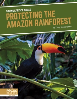 Bertrand.pt - Protecting The Amazon Rainforest